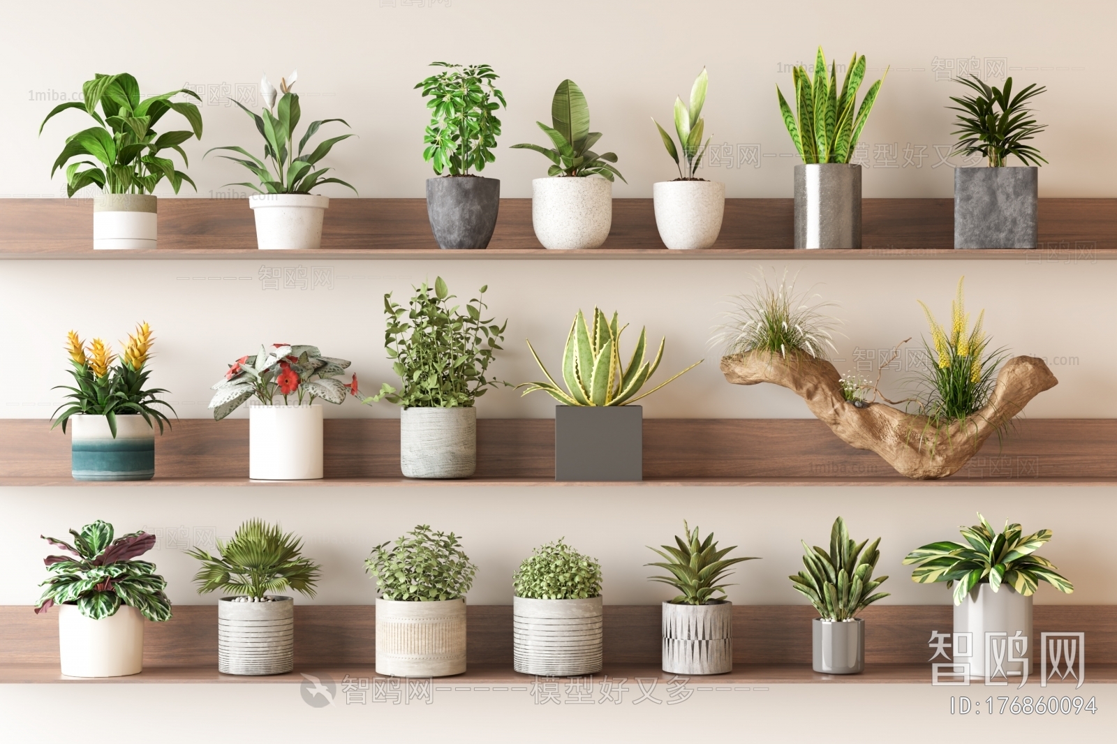 Modern Desktop Plant