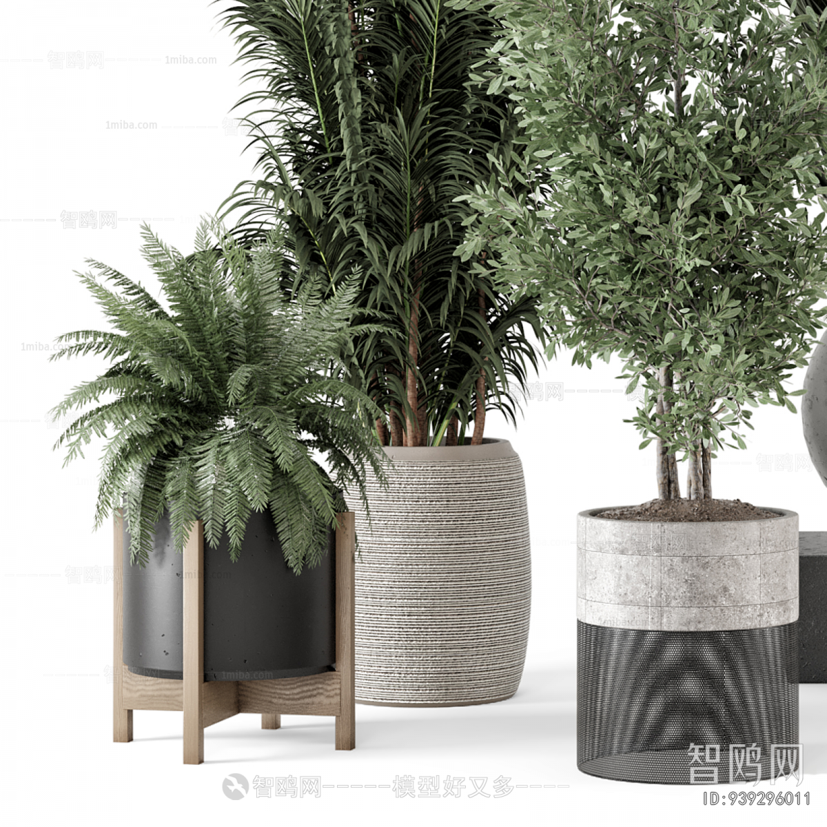 Modern Ground Green Plant Potted Plants