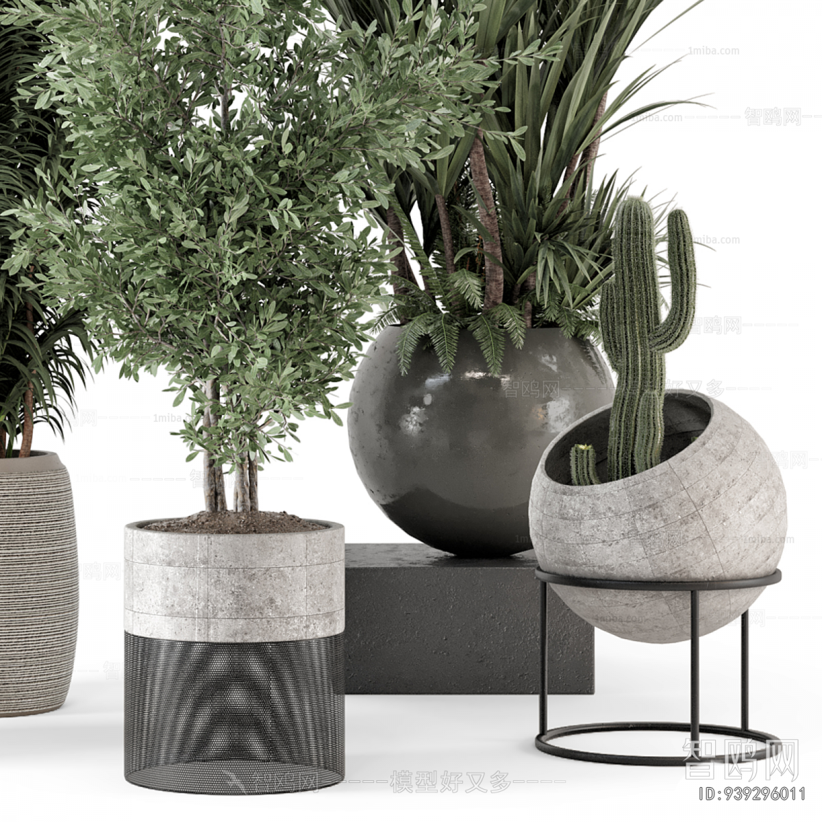 Modern Ground Green Plant Potted Plants