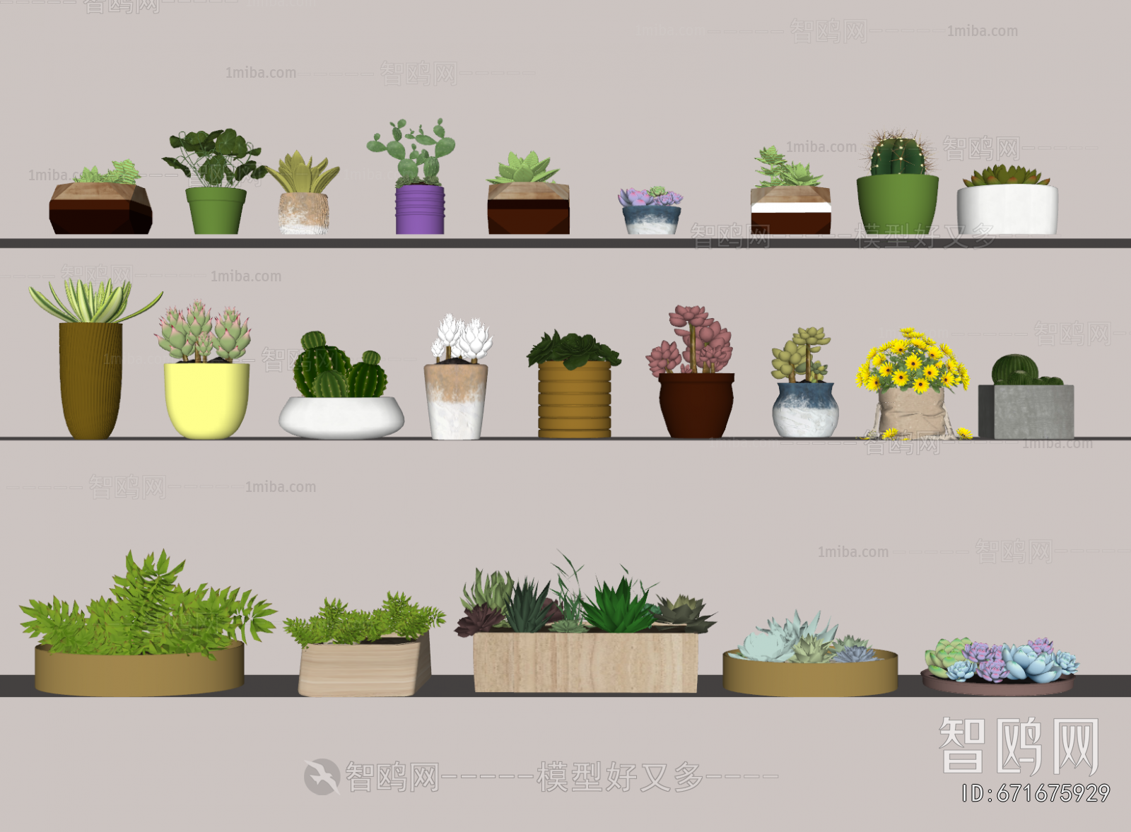 Modern Desktop Plant