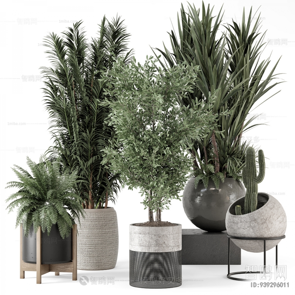 Modern Ground Green Plant Potted Plants