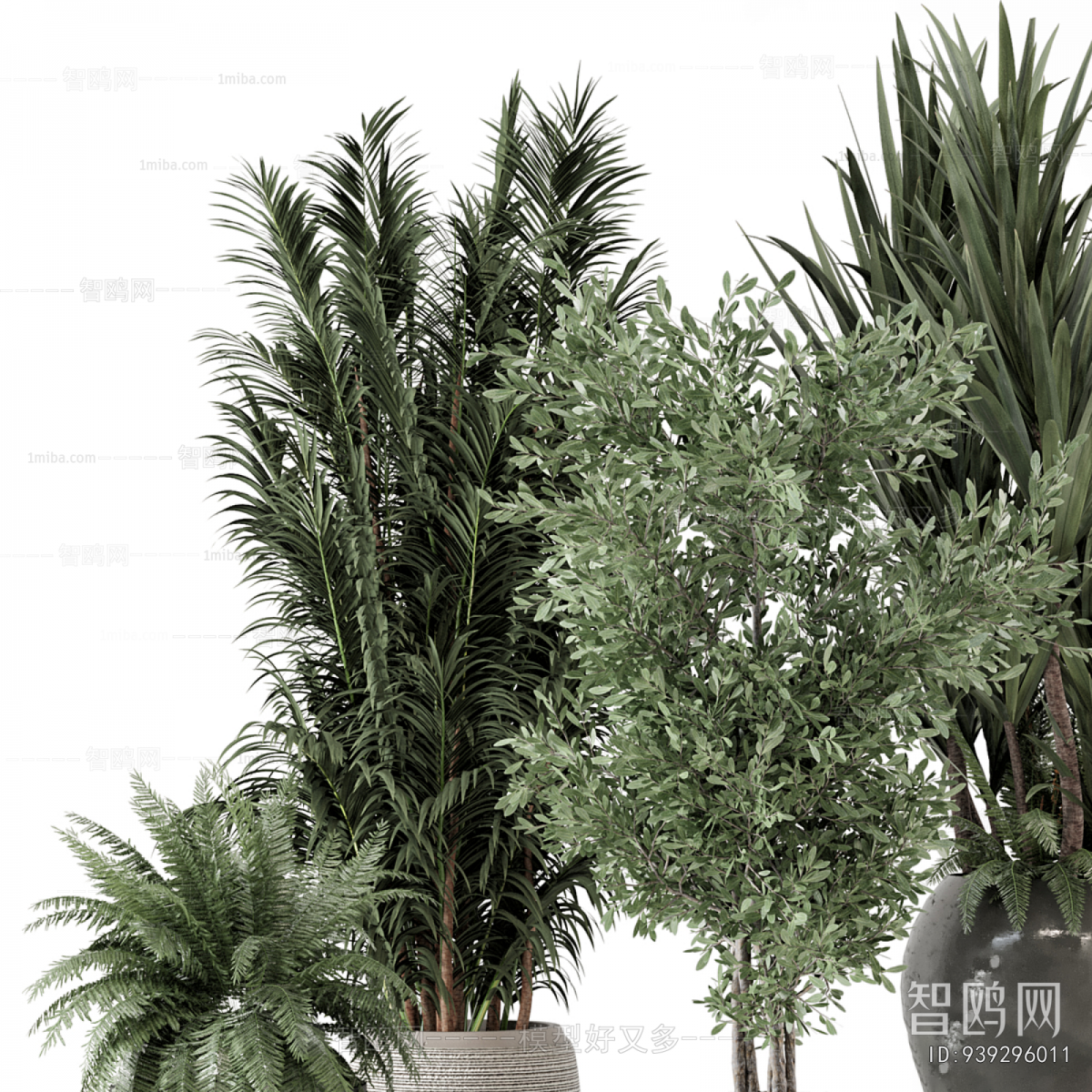 Modern Ground Green Plant Potted Plants