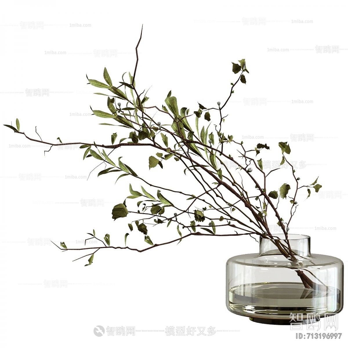 Modern Aquatic Green Plant