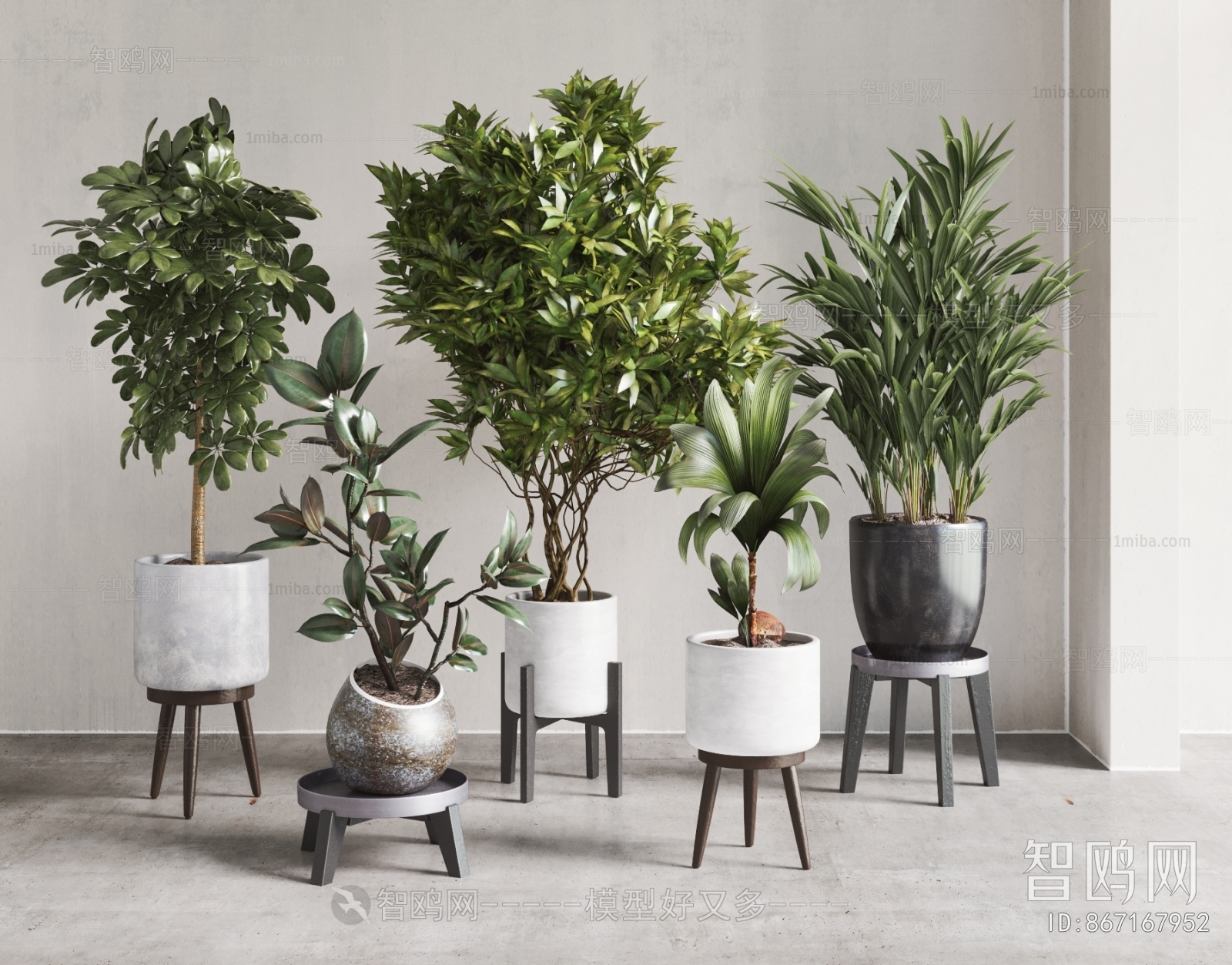 Modern Potted Green Plant