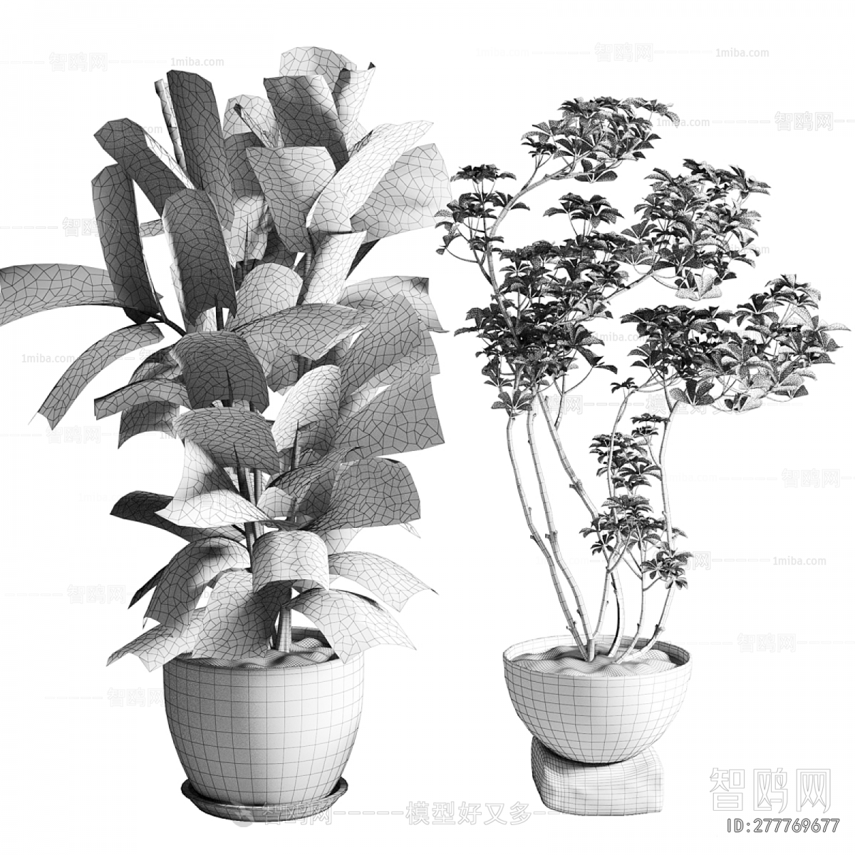 Modern Ground Green Plant Potted Plants