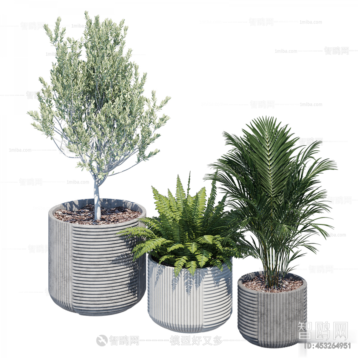 Modern Ground Green Plant Potted Plants