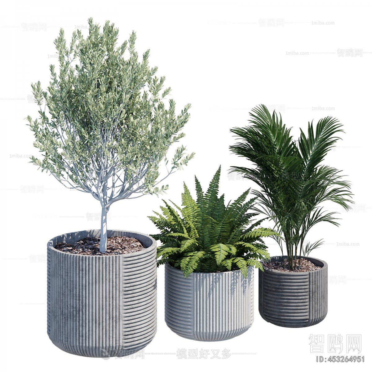 Modern Ground Green Plant Potted Plants