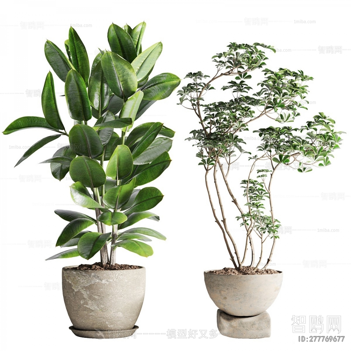 Modern Ground Green Plant Potted Plants