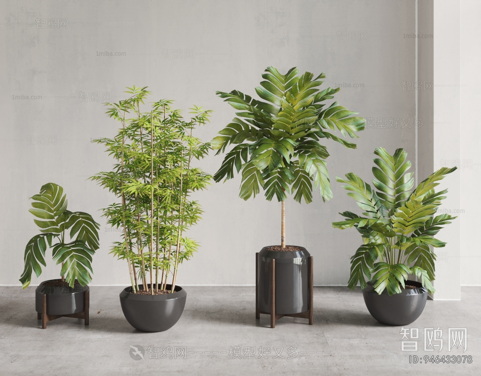 Modern Ground Green Plant Potted Plants