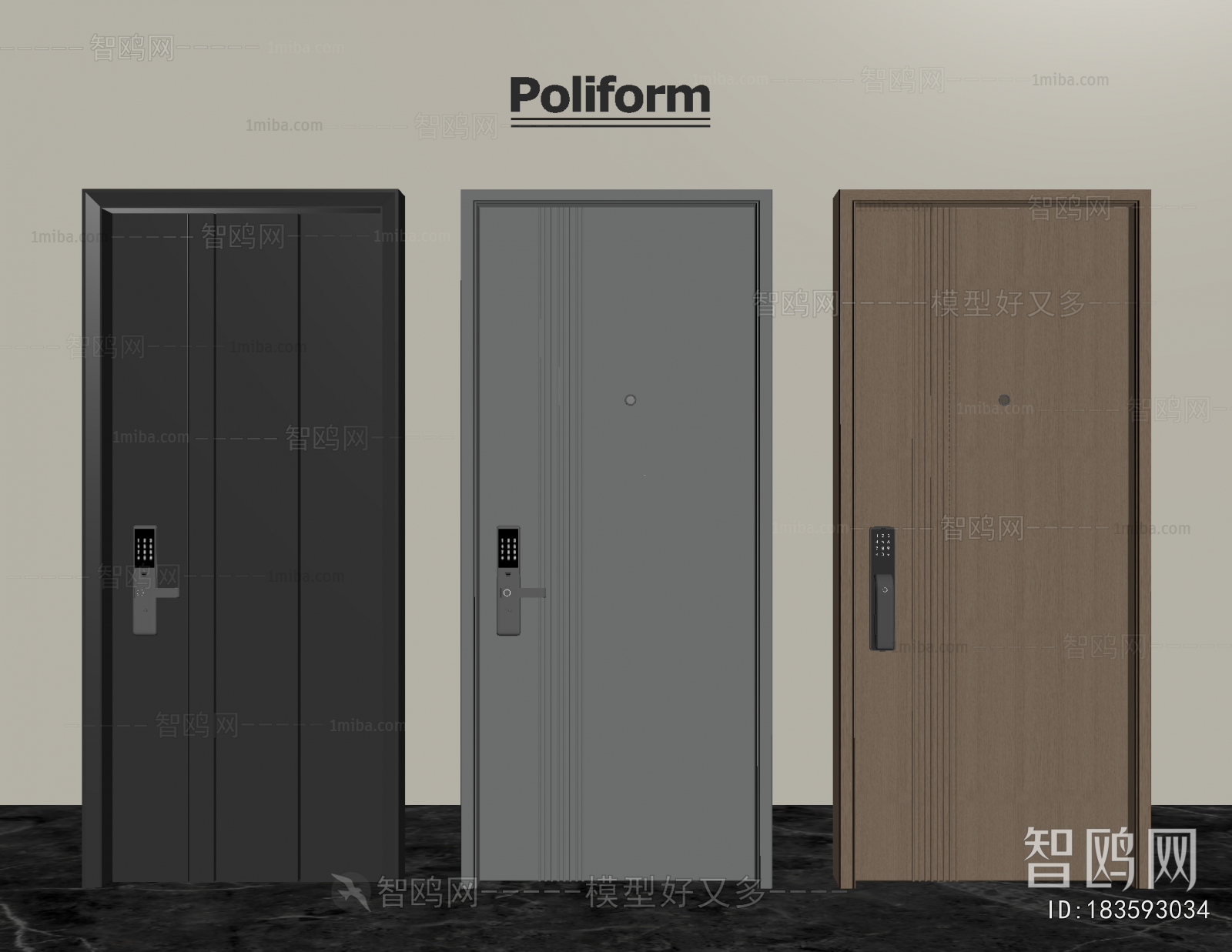 Modern Entrance Door