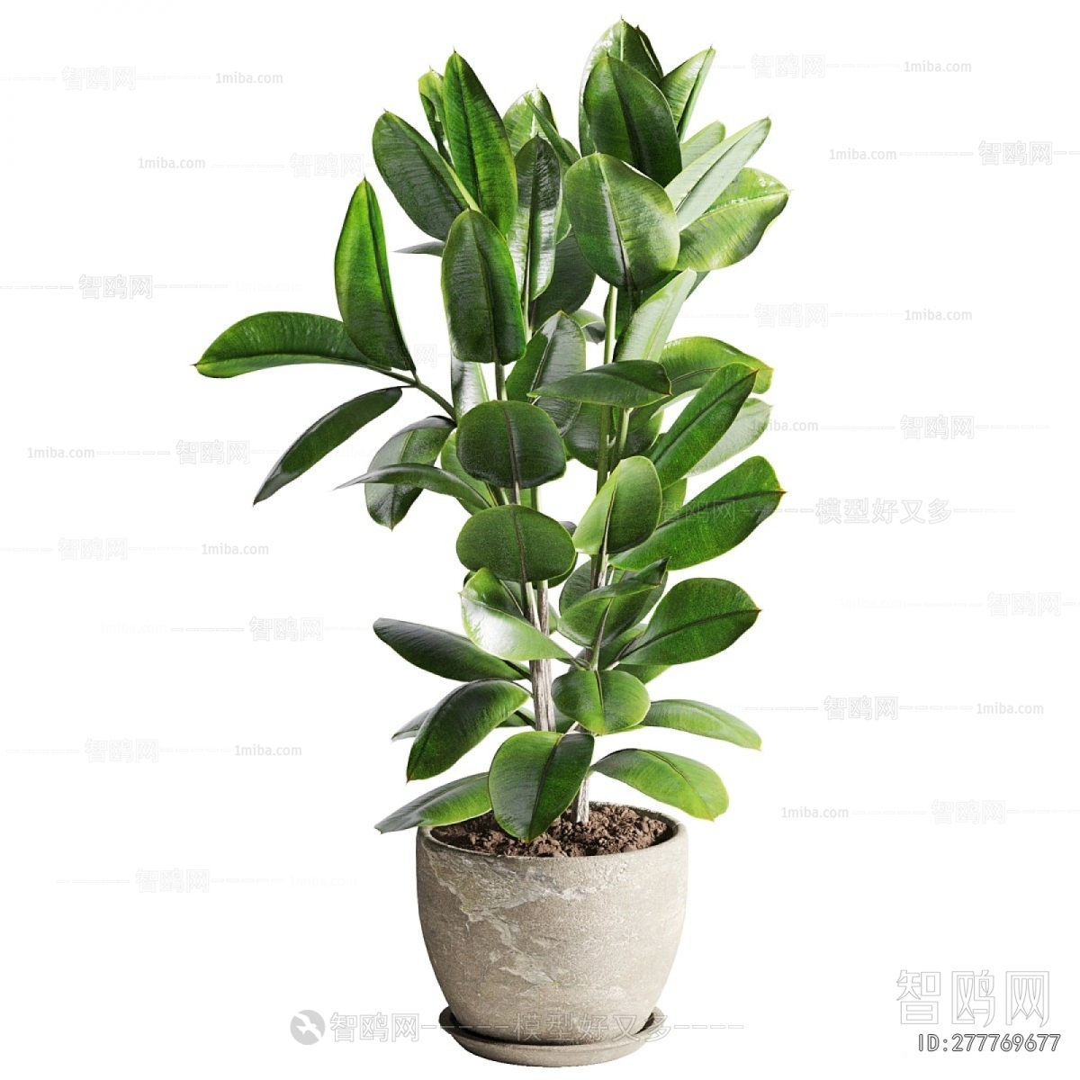 Modern Ground Green Plant Potted Plants
