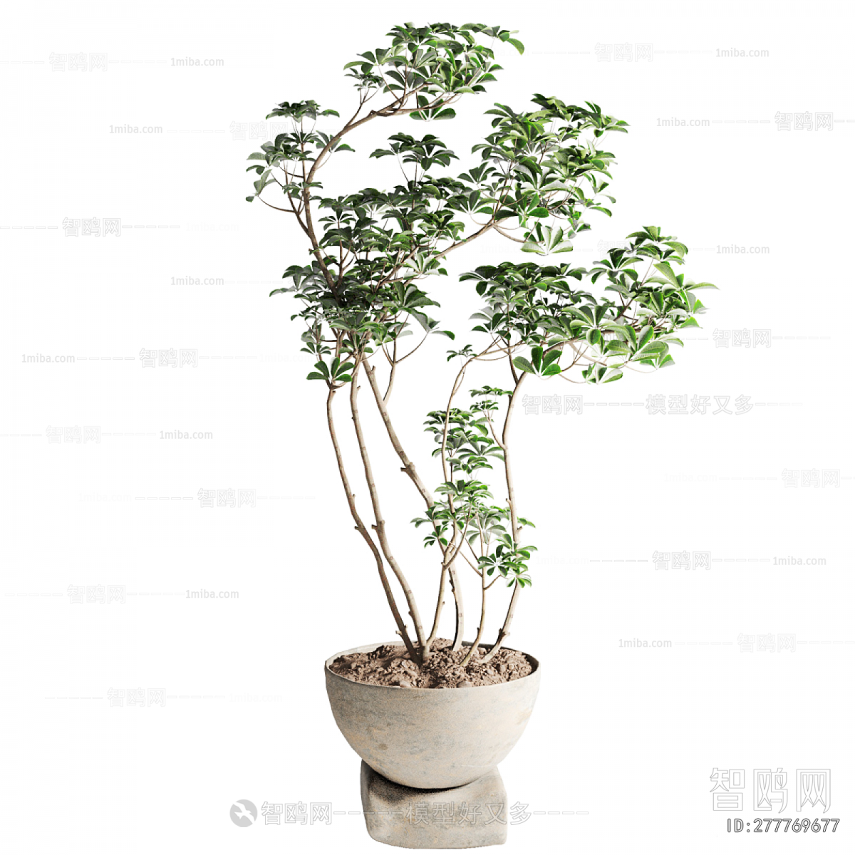 Modern Ground Green Plant Potted Plants
