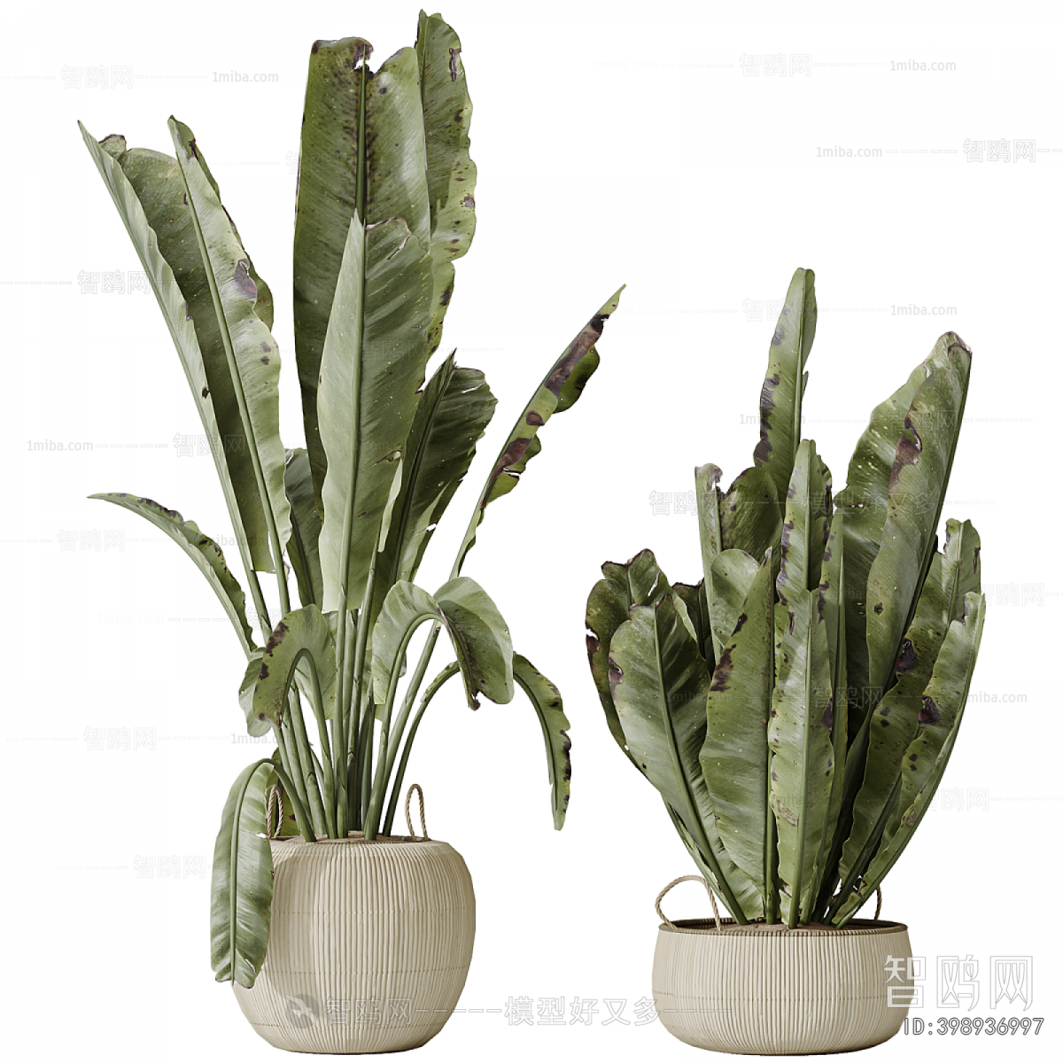 Modern Ground Green Plant Potted Plants