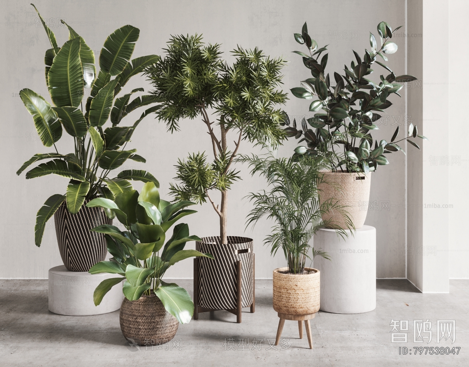 Modern Ground Green Plant Potted Plants