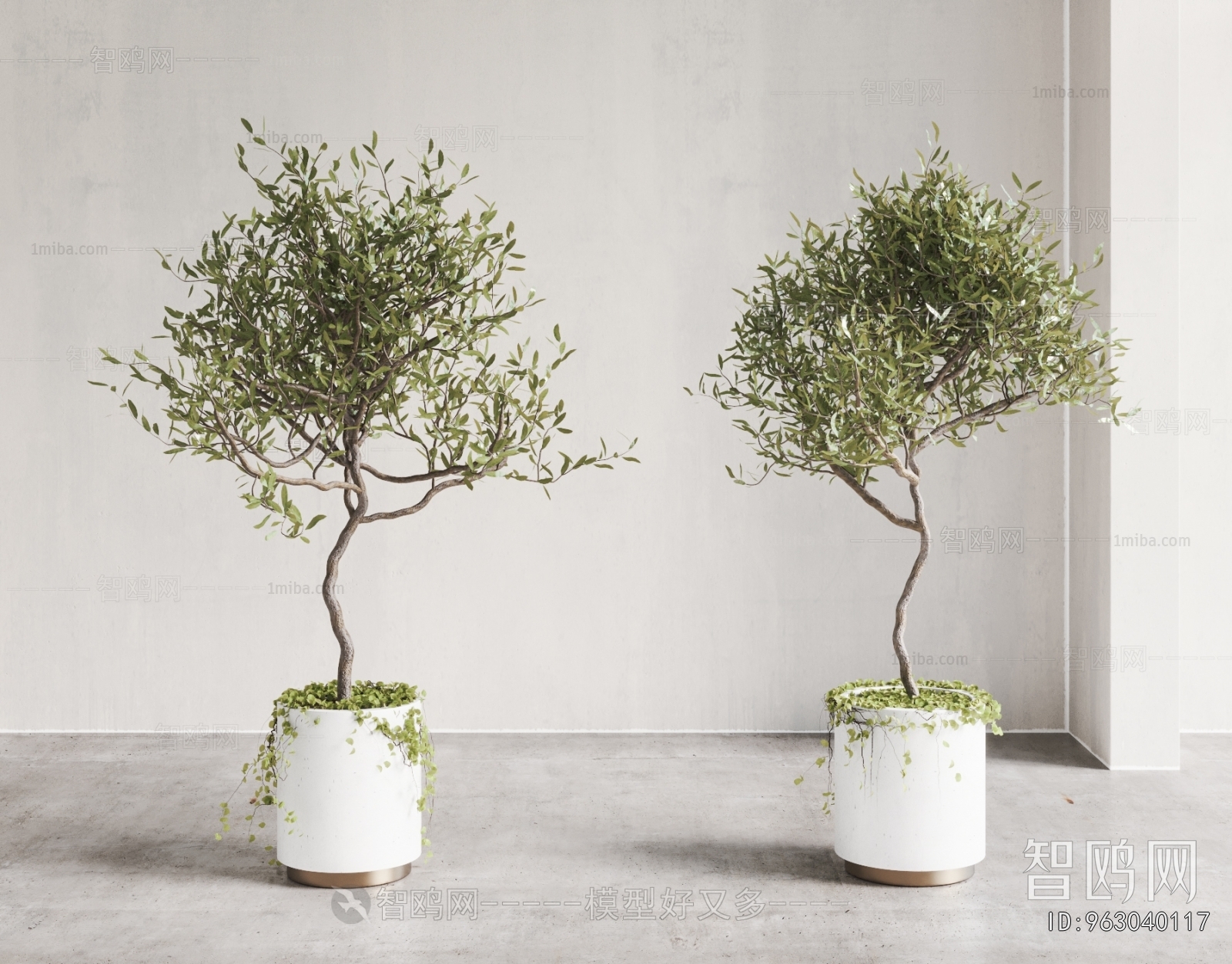 Modern Ground Green Plant Potted Plants