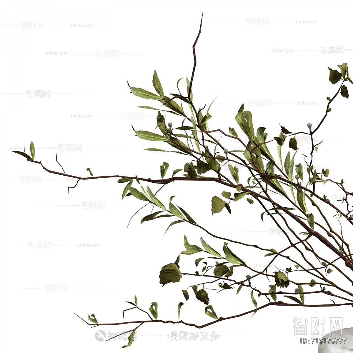 Modern Aquatic Green Plant