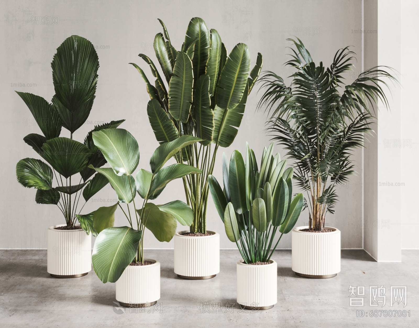 Modern Ground Green Plant Potted Plants