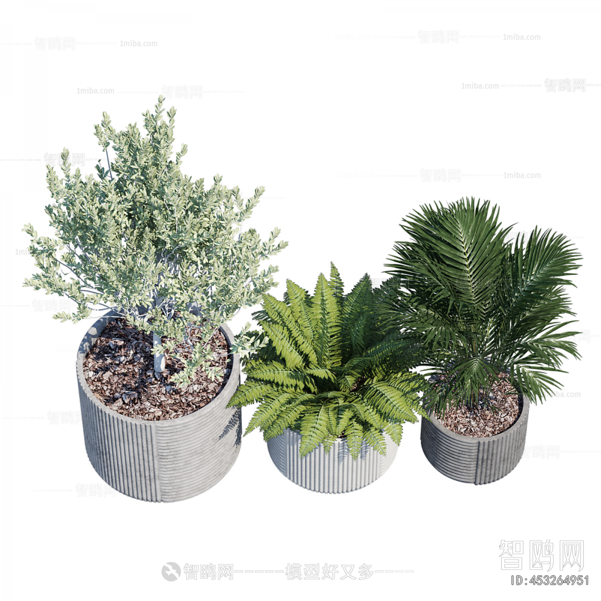 Modern Ground Green Plant Potted Plants
