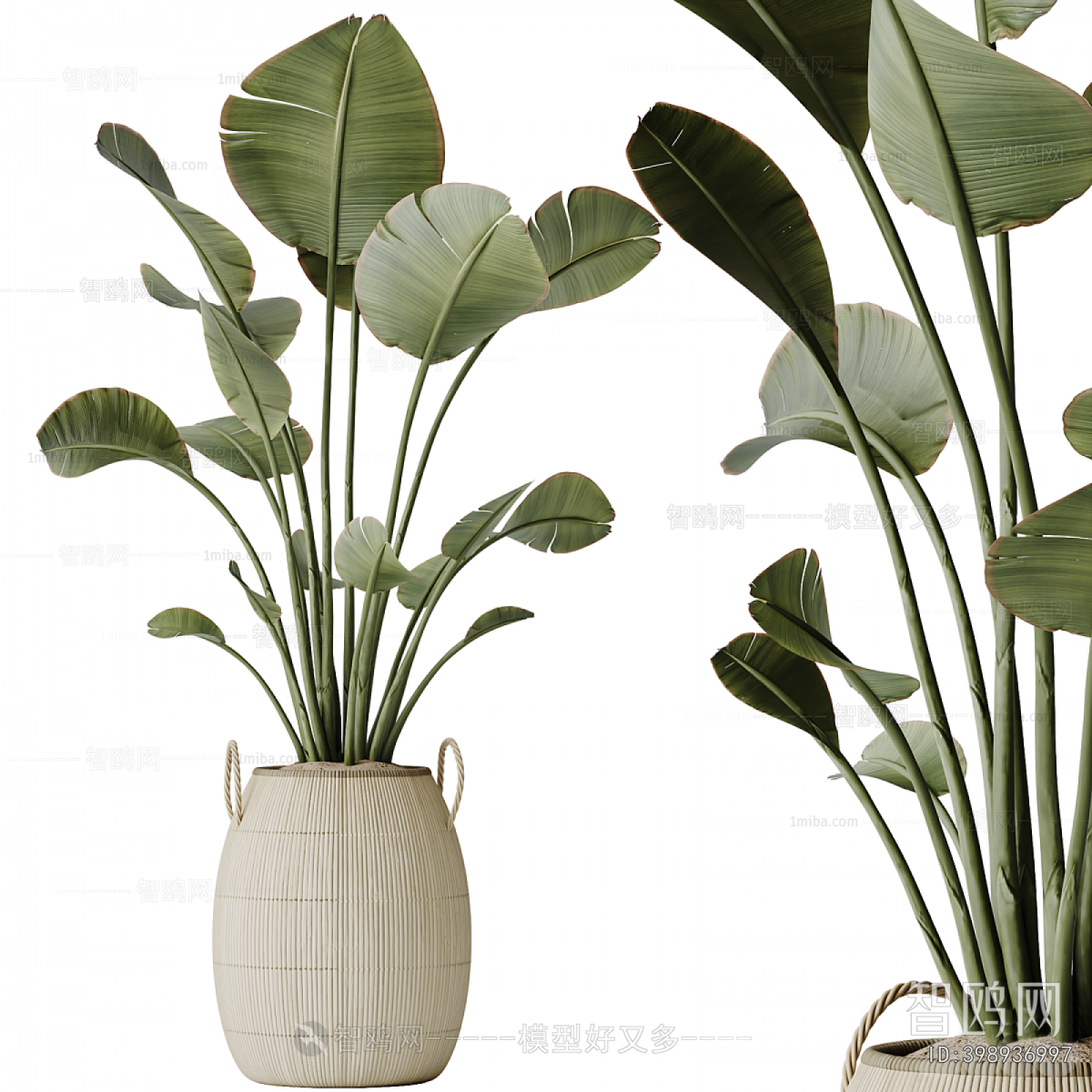 Modern Ground Green Plant Potted Plants
