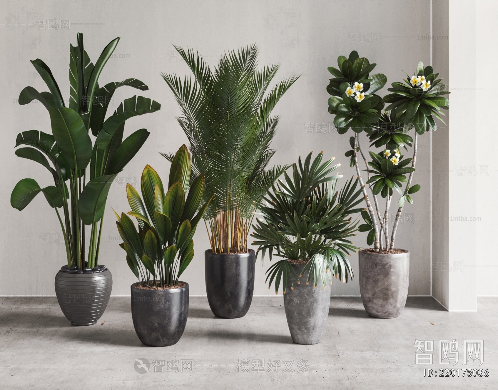 Modern Ground Green Plant Potted Plants