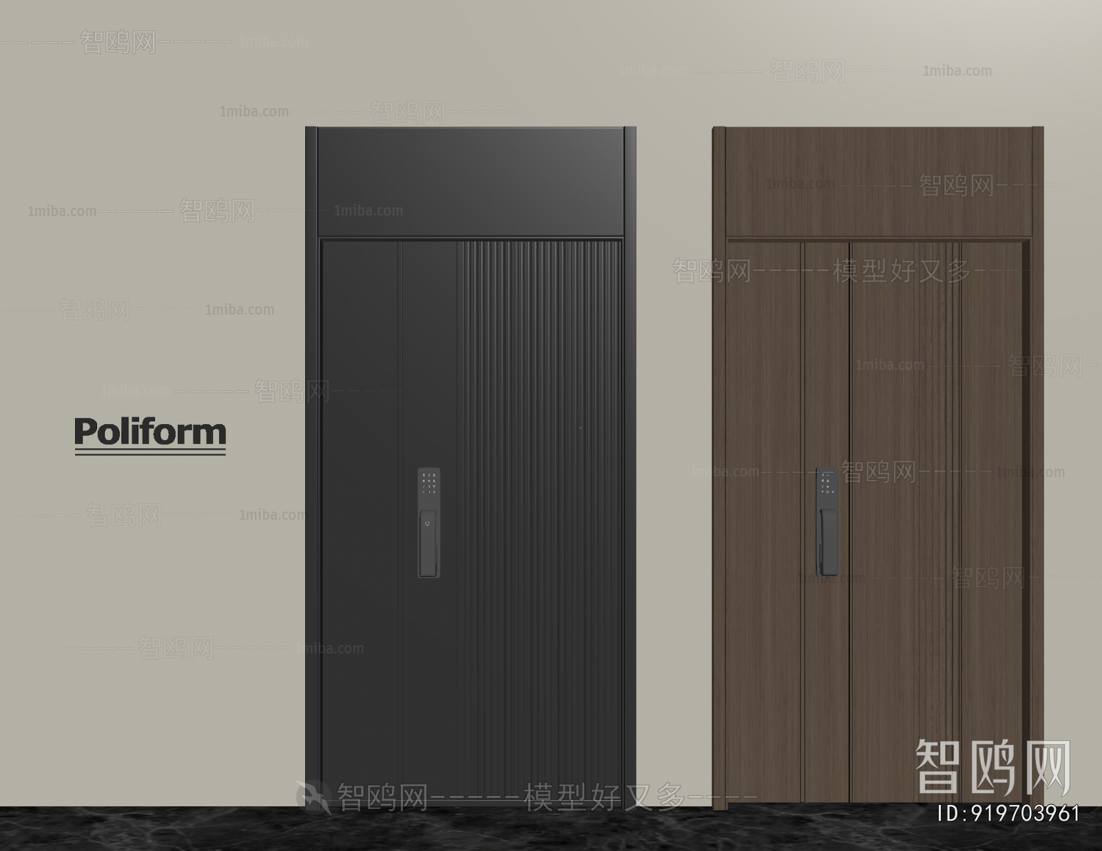 Modern Entrance Door