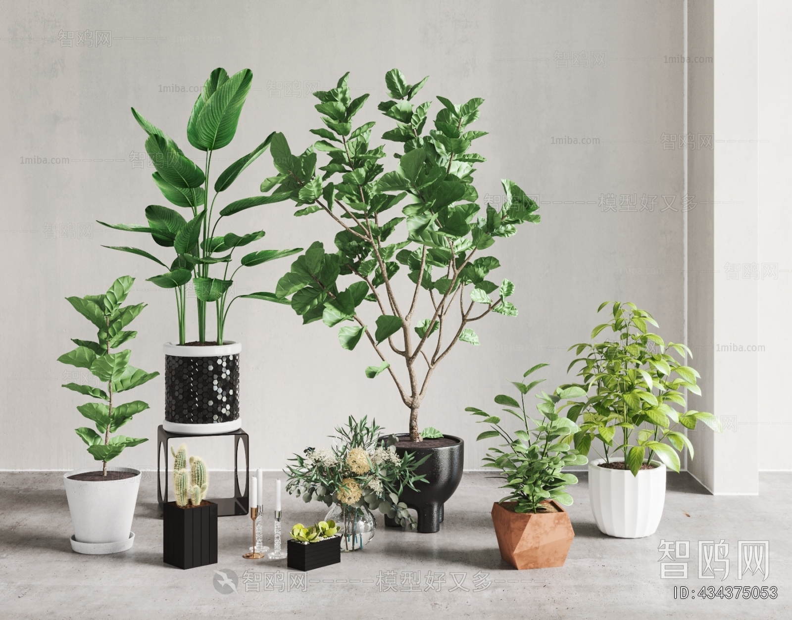 Modern Potted Green Plant