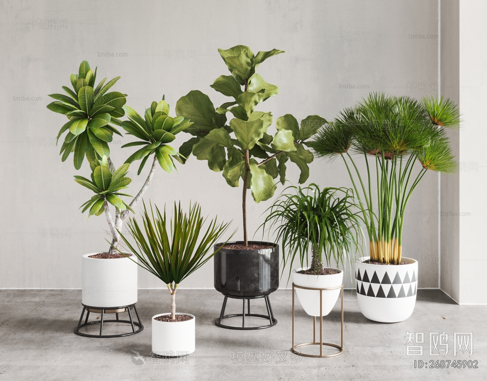 Modern Ground Green Plant Potted Plants