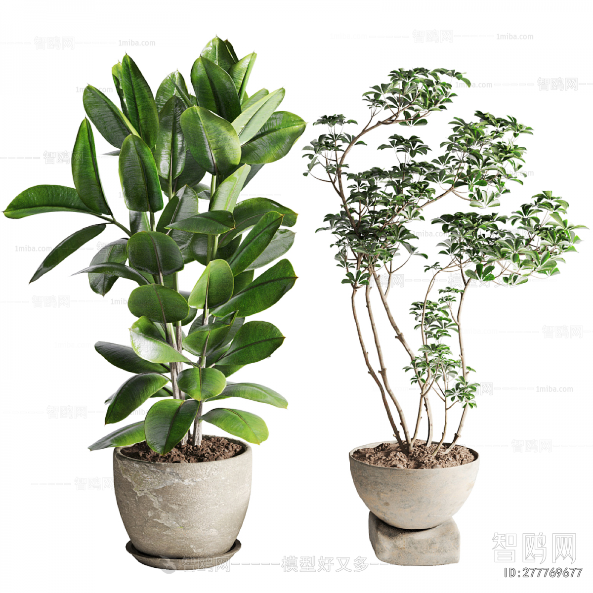 Modern Ground Green Plant Potted Plants