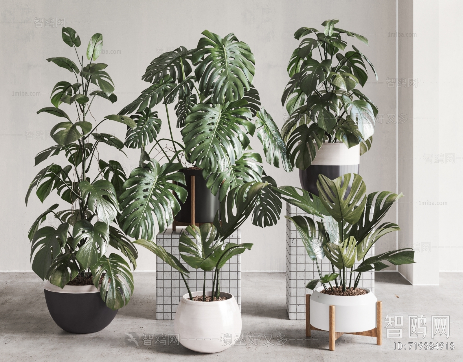 Modern Ground Green Plant Potted Plants