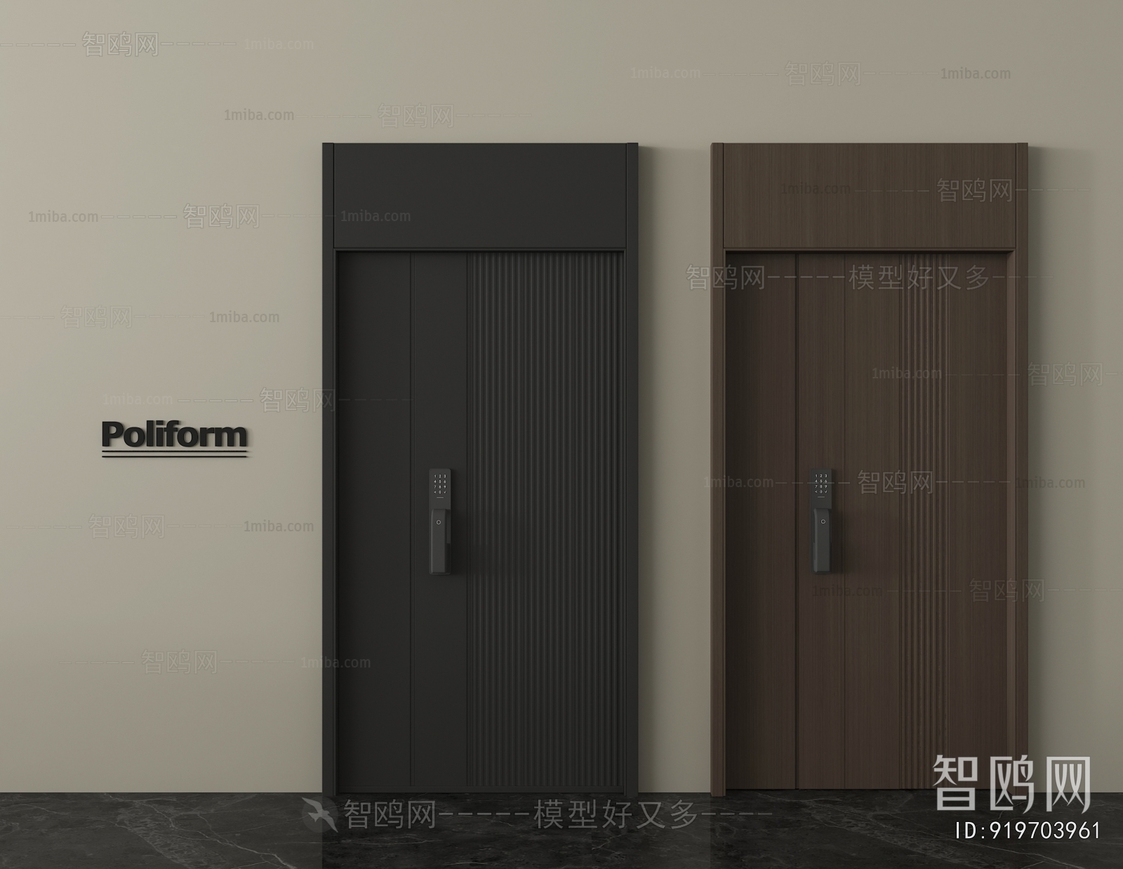 Modern Entrance Door