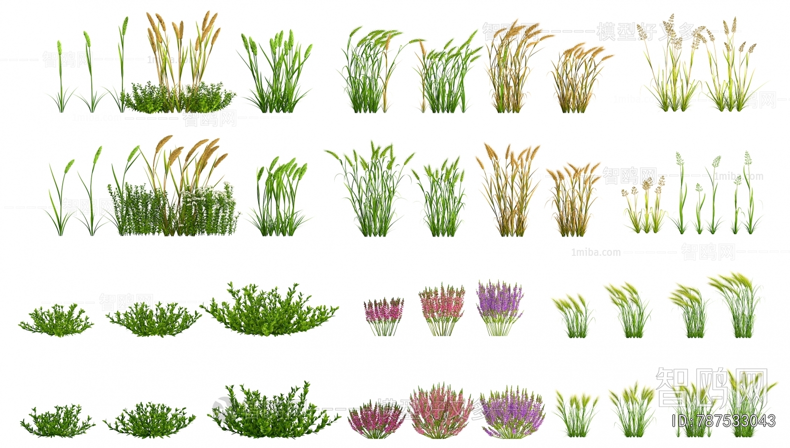 Modern Flowers And Grass