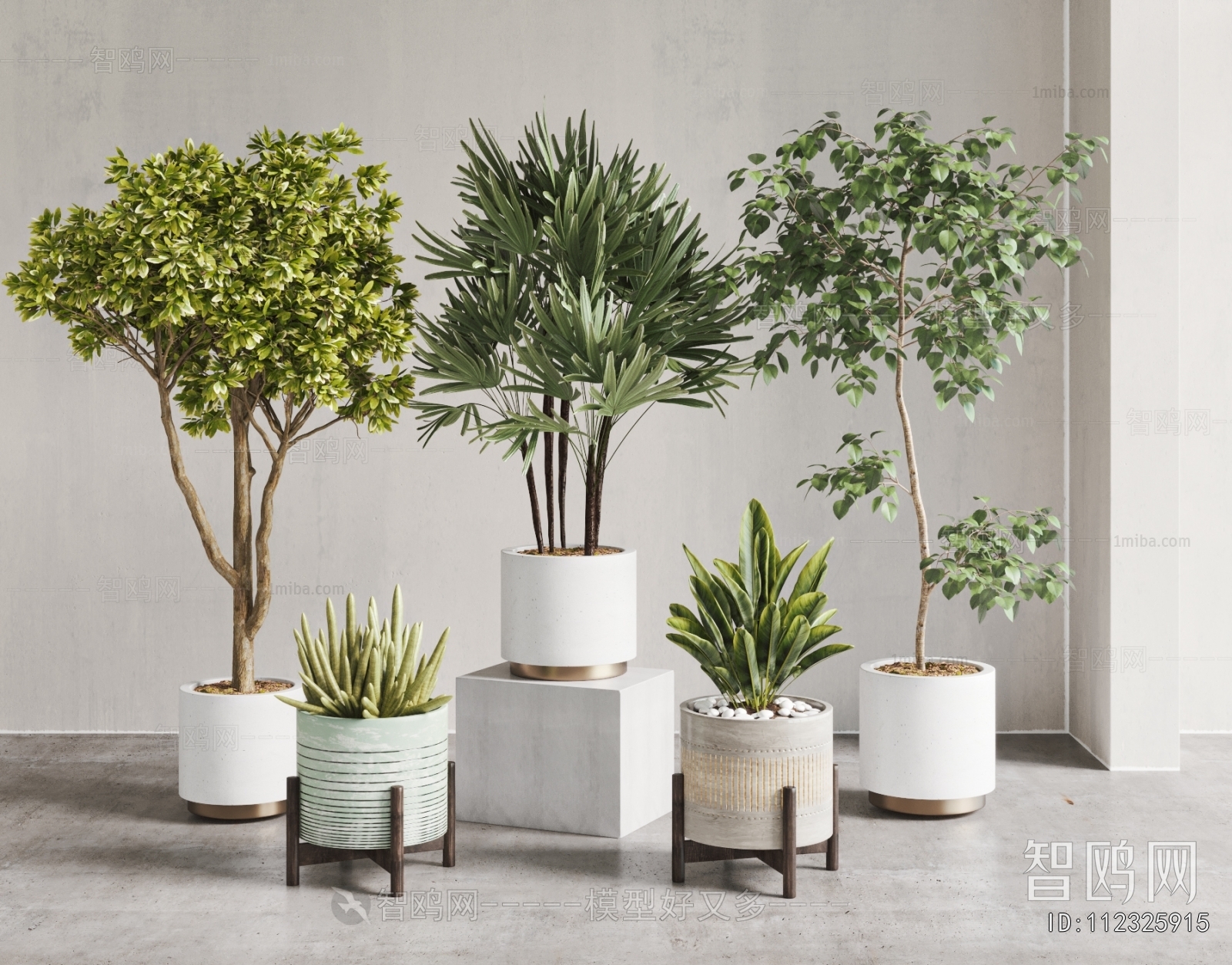 Modern Ground Green Plant Potted Plants