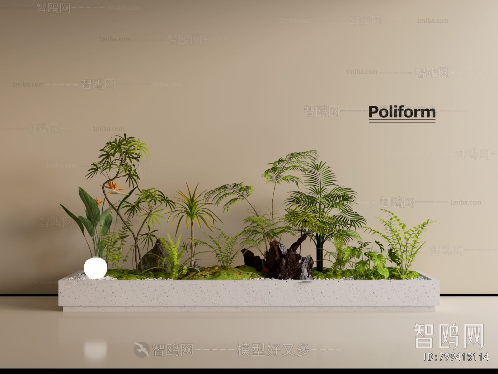 Modern Plant Landscaping