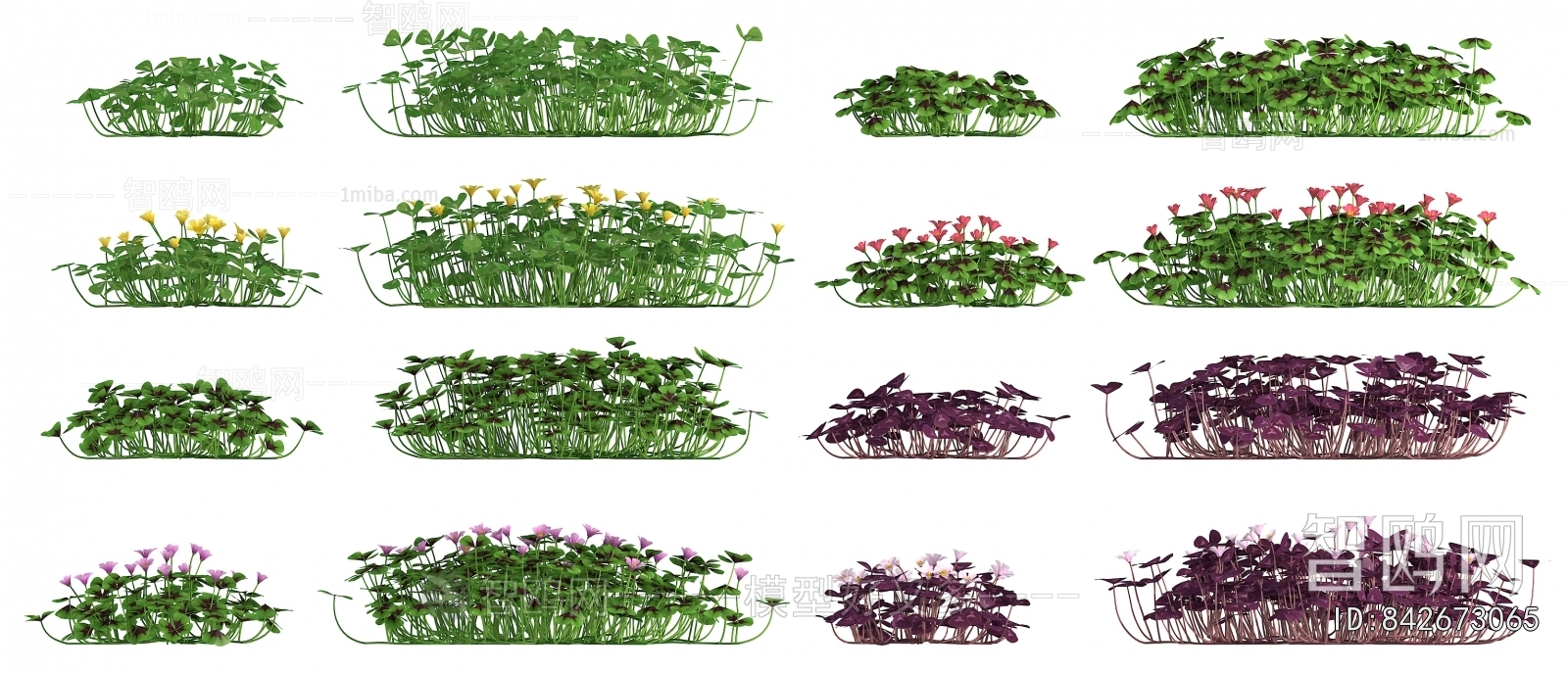 Modern Flowers And Grass