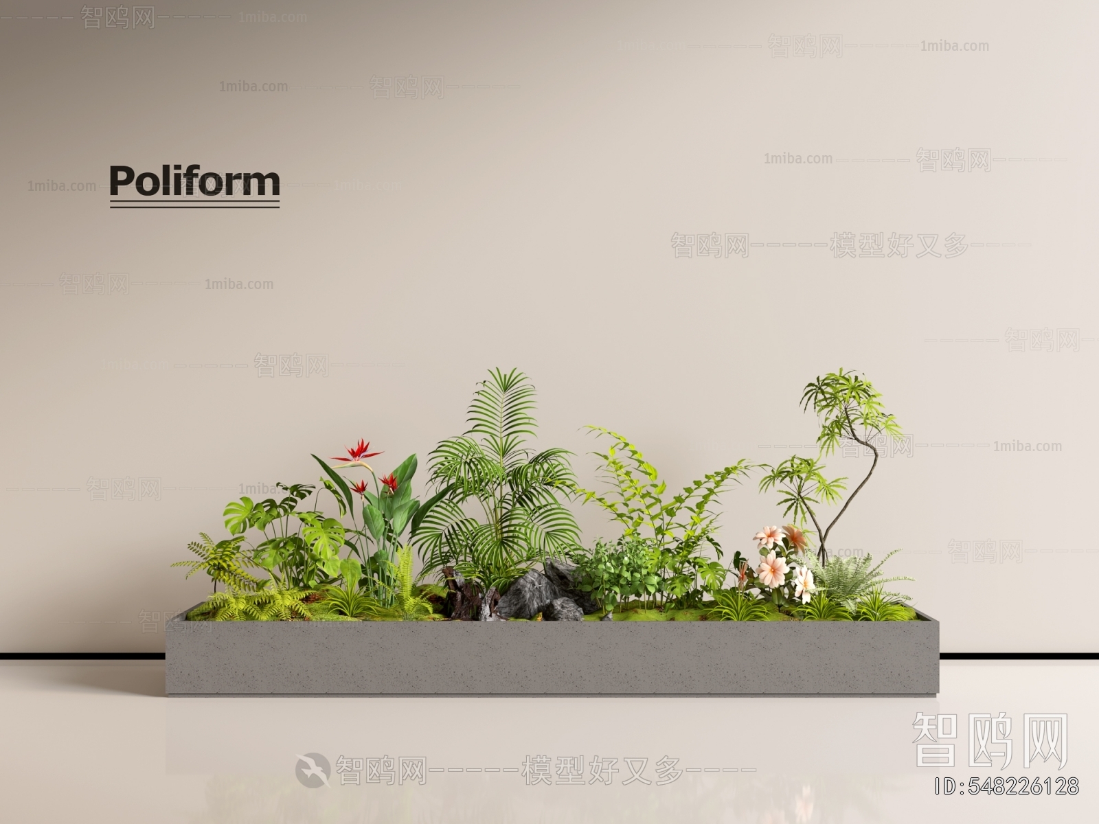 Modern Plant Landscaping