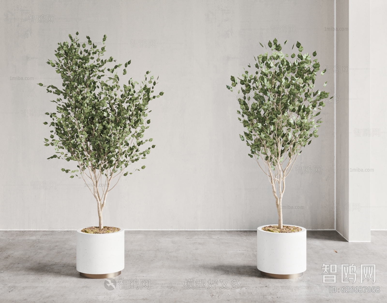 Modern Ground Green Plant Potted Plants