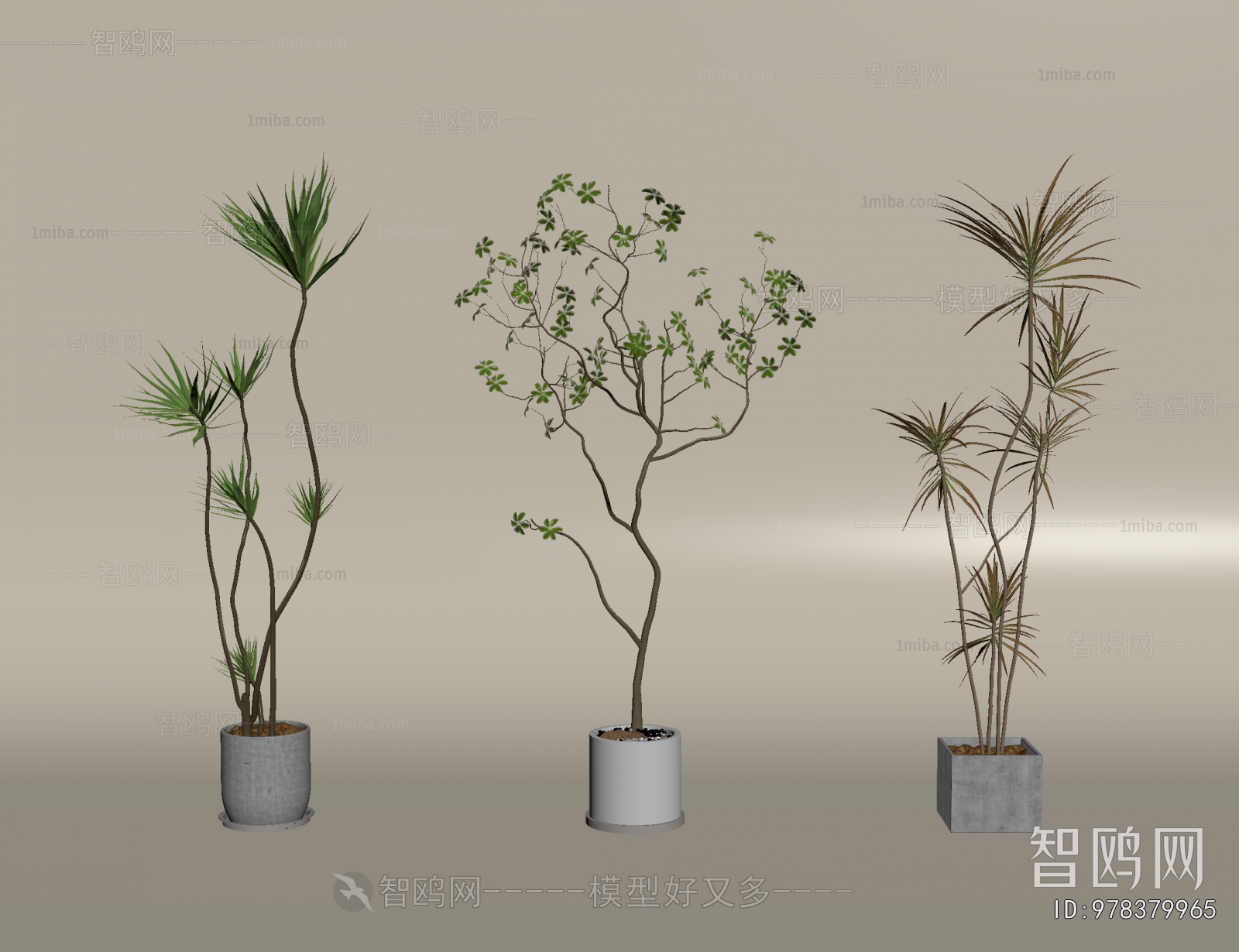 Modern Ground Green Plant Potted Plants