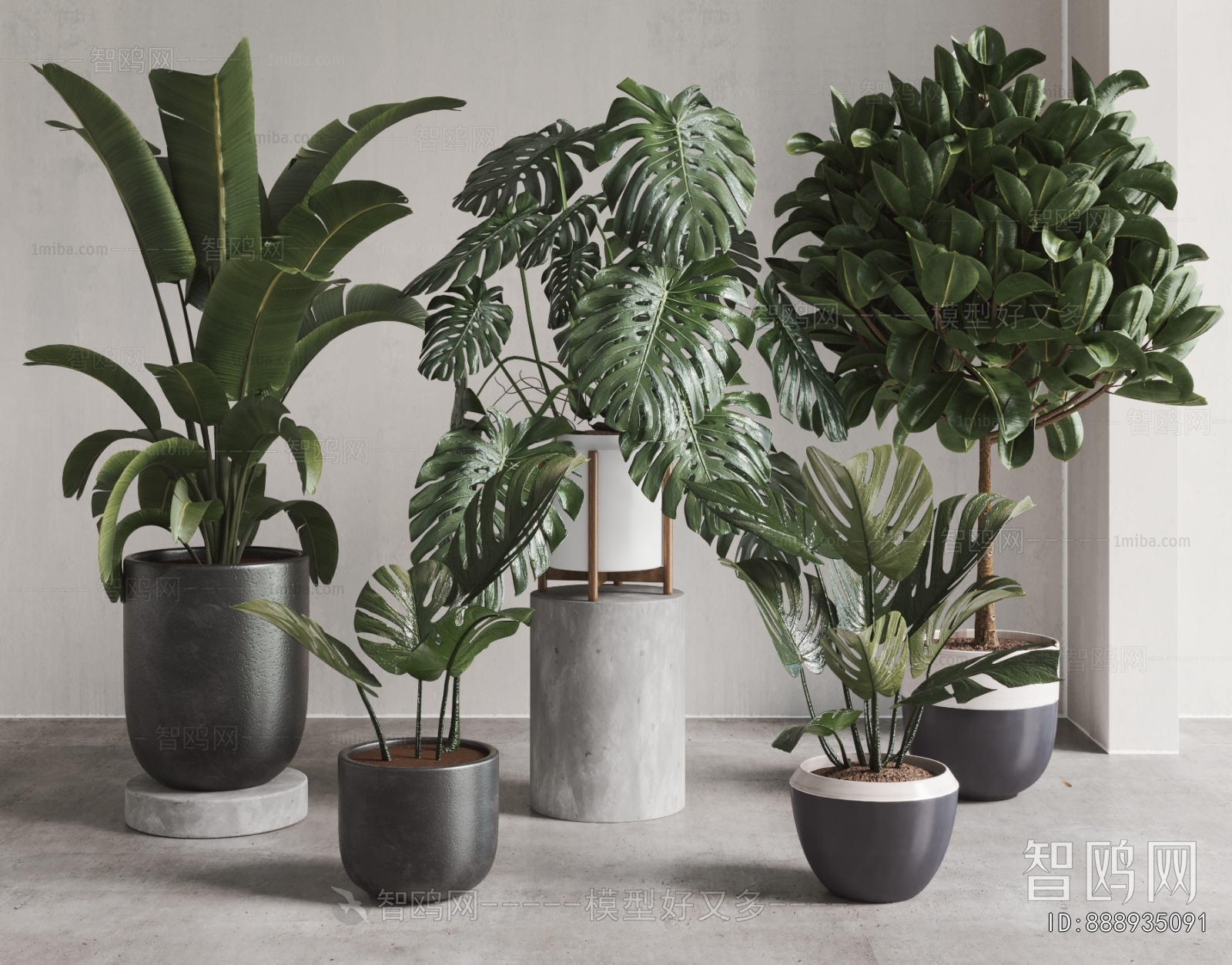 Modern Ground Green Plant Potted Plants