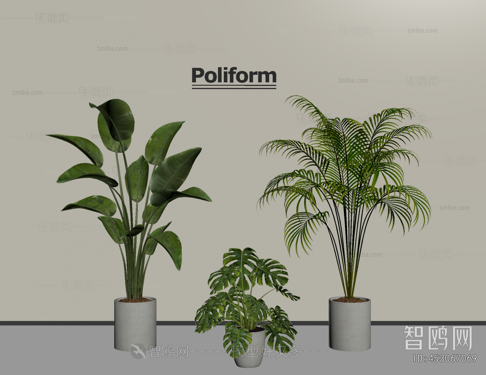 Modern Ground Green Plant Potted Plants