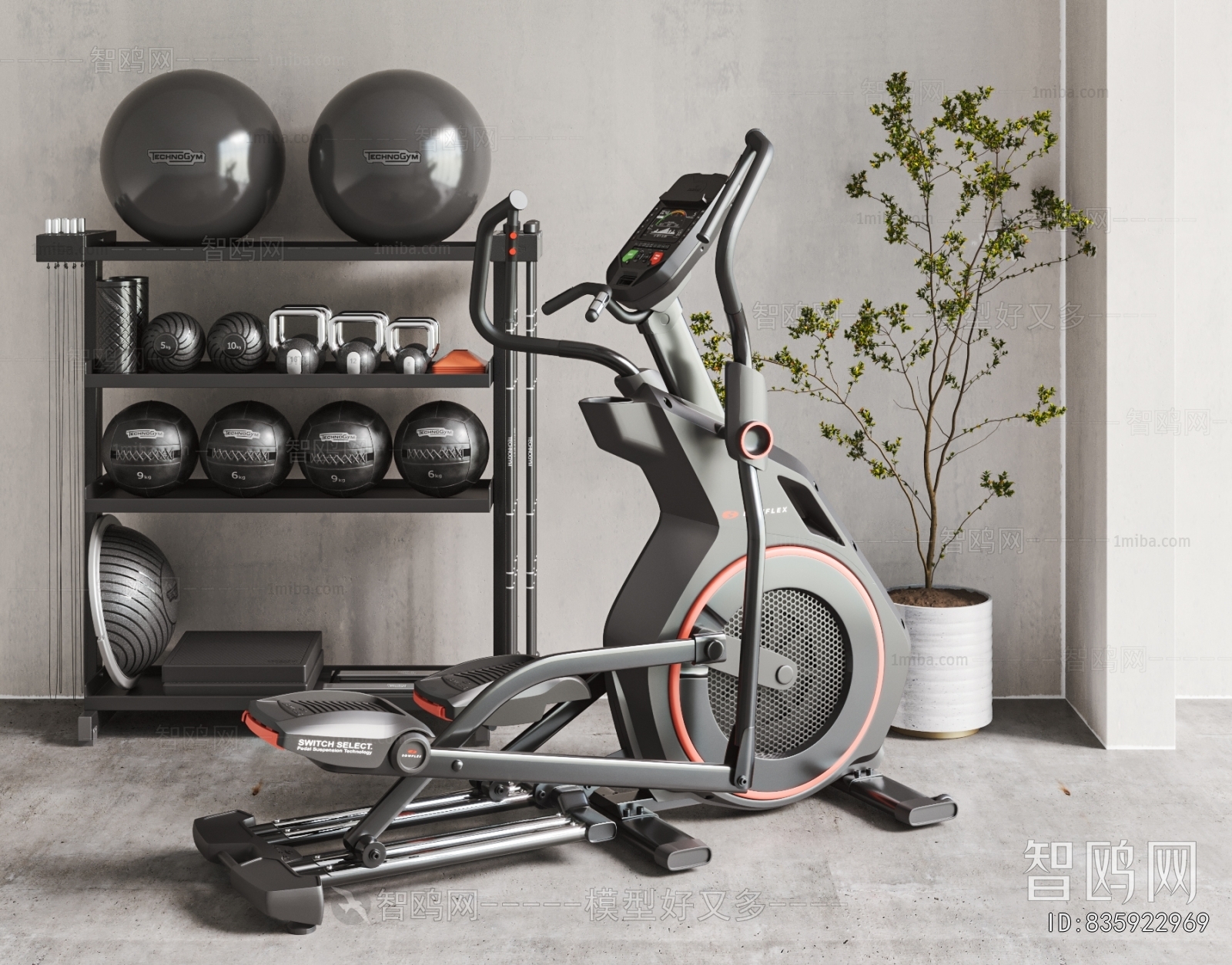 Modern Fitness Equipment