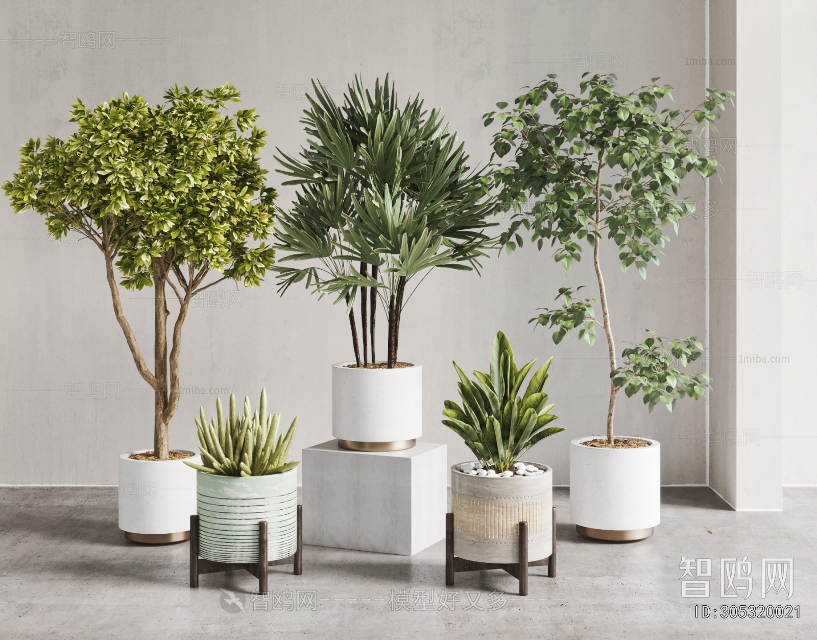 Modern Ground Green Plant Potted Plants