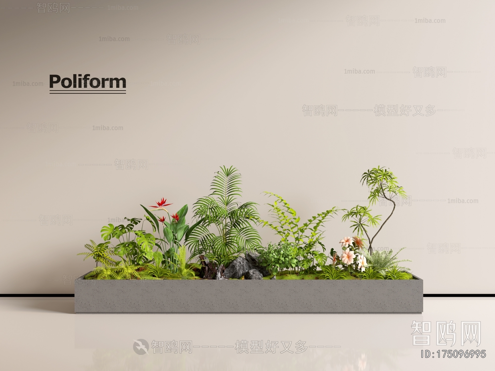 Modern Plant Landscaping