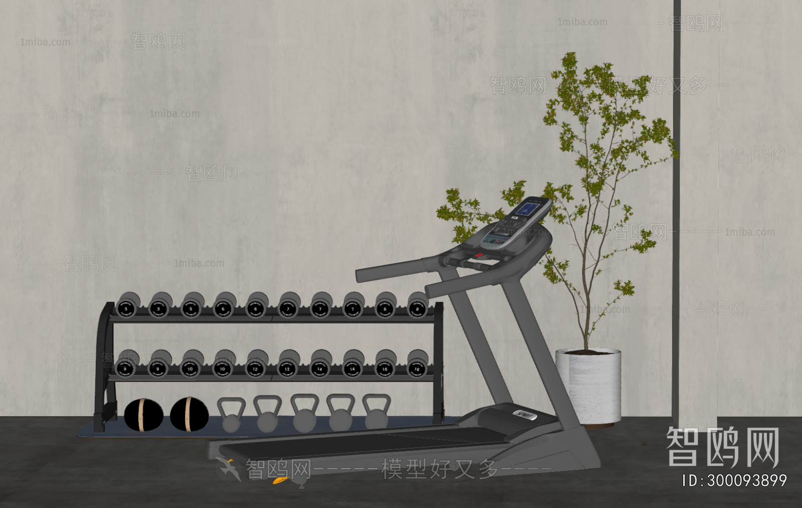 Modern Fitness Equipment