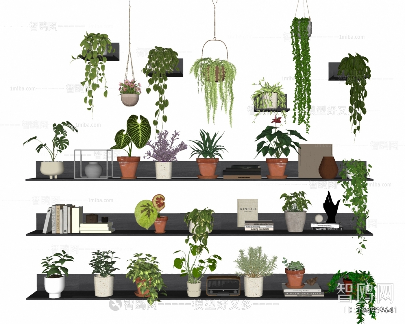 Modern Potted Green Plant