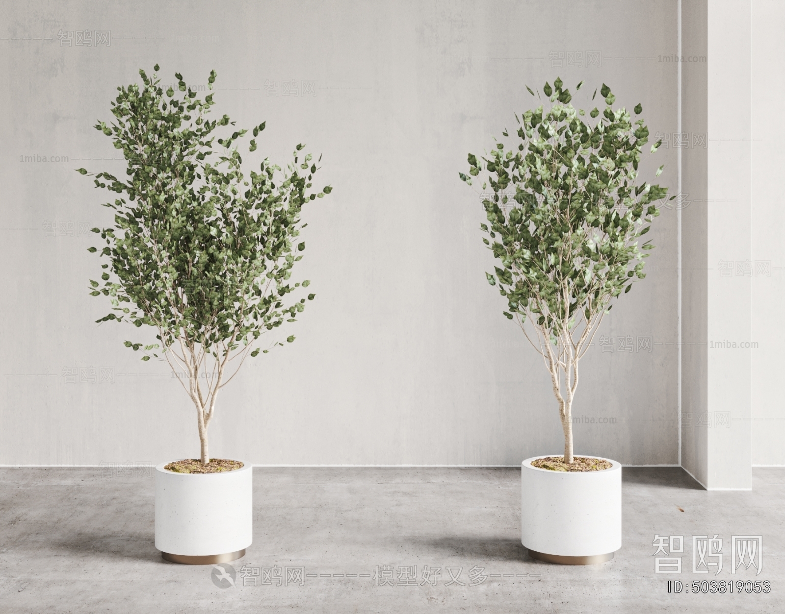 Modern Ground Green Plant Potted Plants