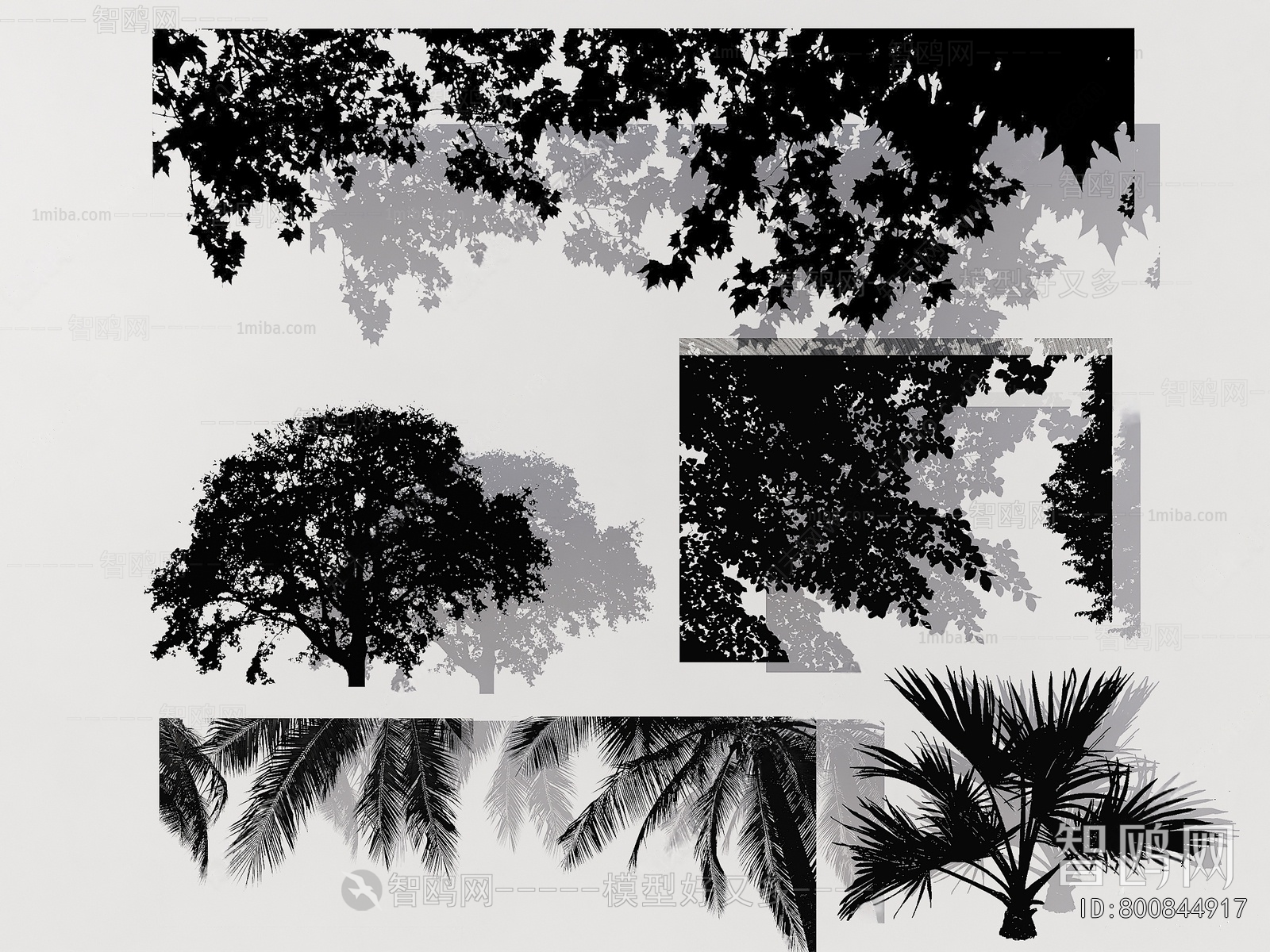 Modern Wall Decoration