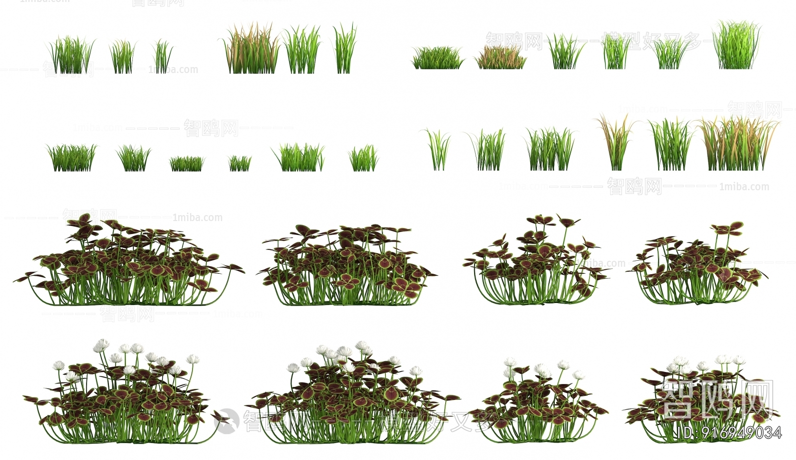 Modern Flowers And Grass