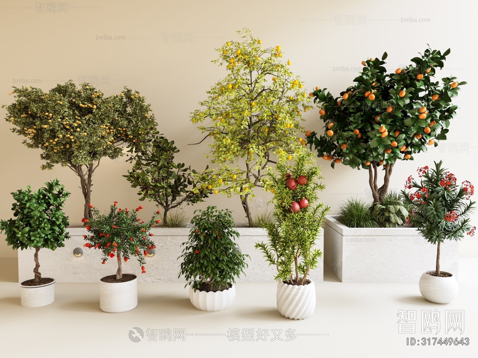 Modern Ground Green Plant Potted Plants