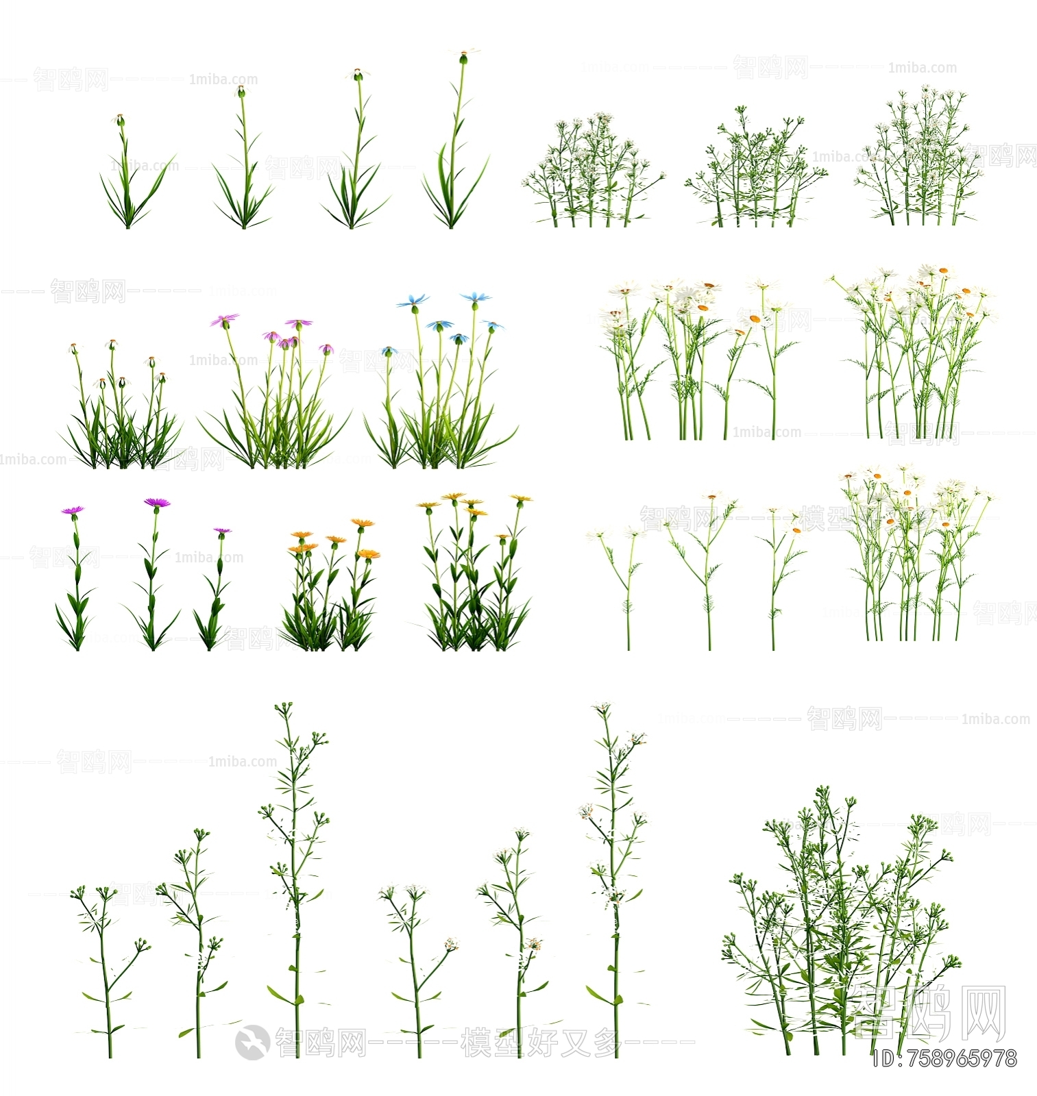 Modern Flowers And Grass