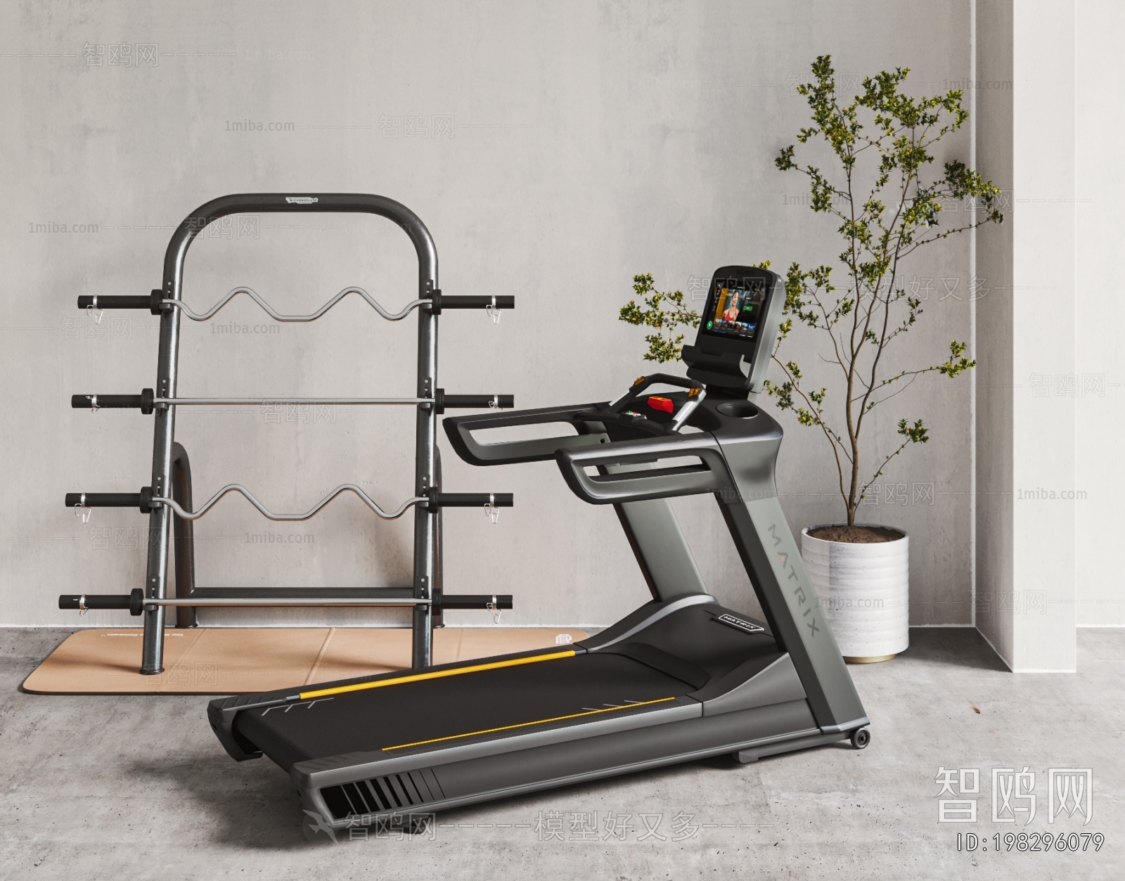 Modern Fitness Equipment